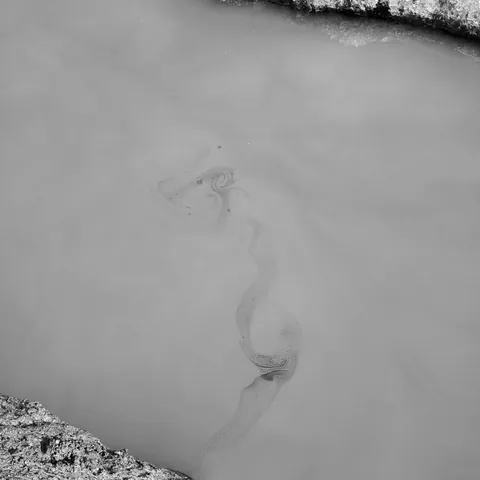 Alaska-2019-1