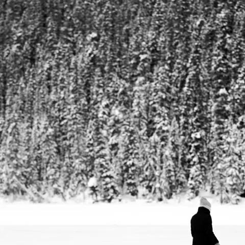 Banff-2017-4