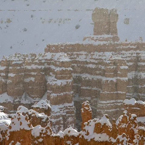 Bryce-2021-1