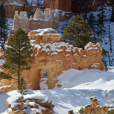 Bryce-2021-2