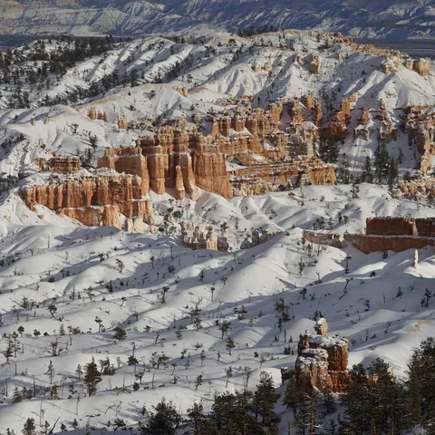 Bryce-2021-3