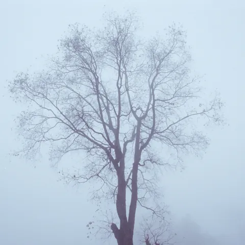 China-2012-5