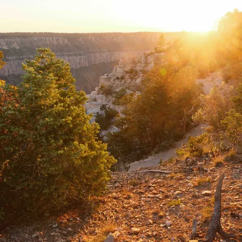 GrandCanyon-2023