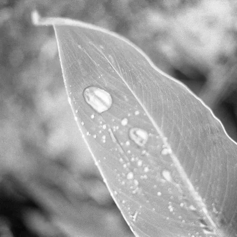 Hangzhou-2012-2