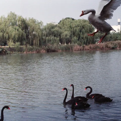 Hangzhou-2012-5