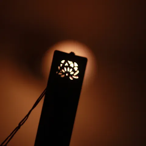 India-2011-1