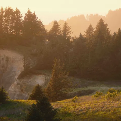 Oregon-2023-4