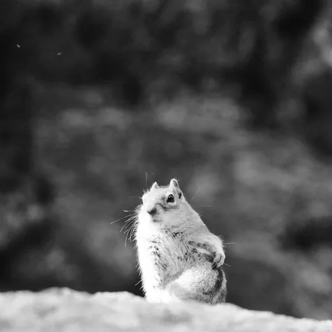 RMNP-2023-1