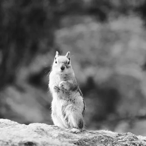 RMNP-2023-2
