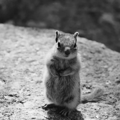 RMNP-2023