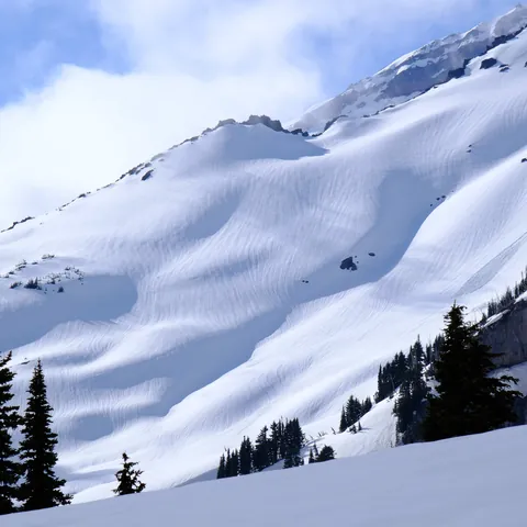 Rainier-2023-3