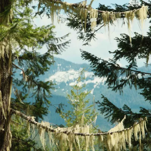 Rainier-2023