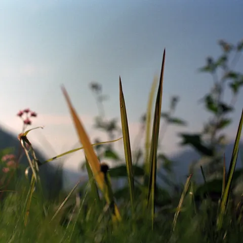 Taizhou-2012-9