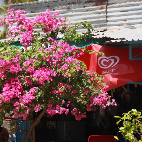 Vietnam-2013