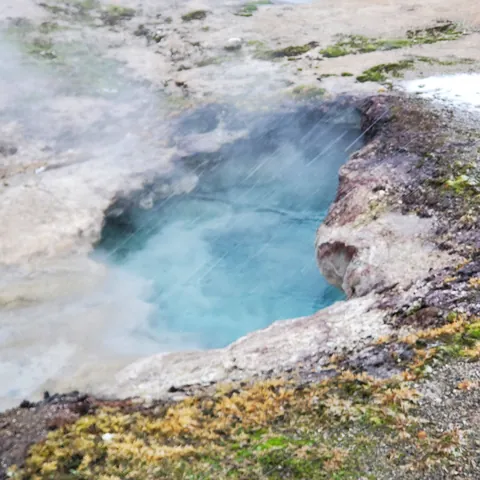 Yellowstone-2020